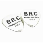 Silver Bespoke Example Plectrum